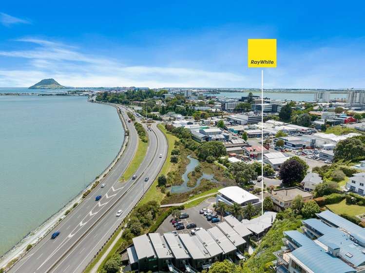 142B Third Avenue Tauranga_31
