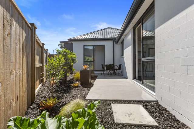 20A Cotula Way (Semi Furnished) Papamoa_1