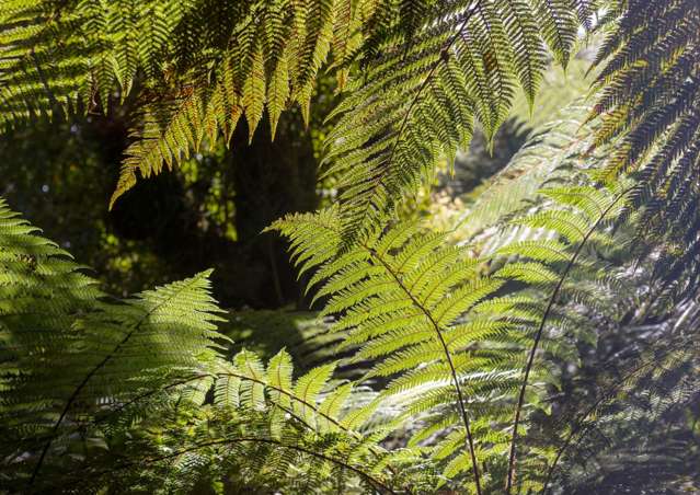 Address withheld Christchurch Surrounds_3