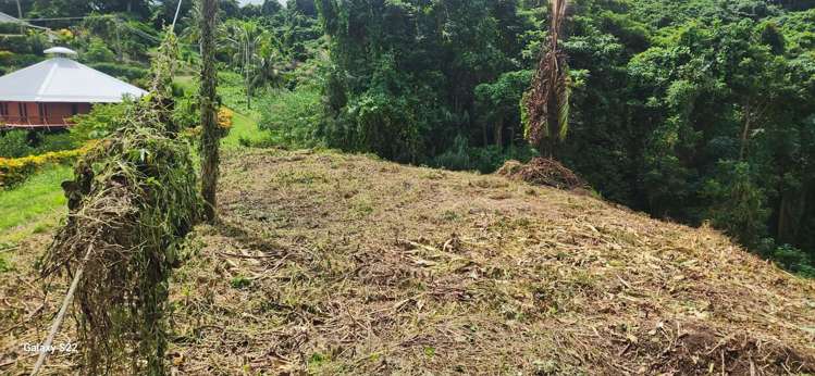 Lot 11 Raintree Estate, Oneva Savusavu_6