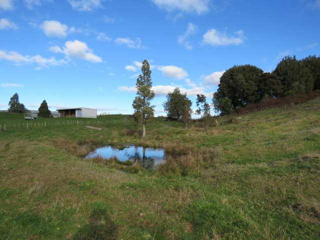 41 Riley Place Owhango_4