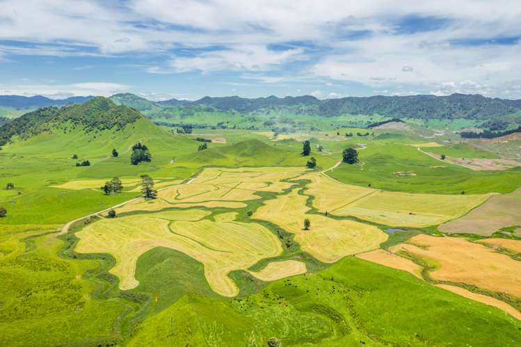 313 Te Wera Road Matawai_3