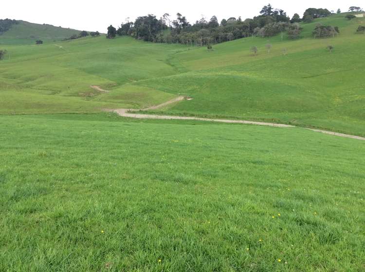 216 Morrison Road Arapohue_12