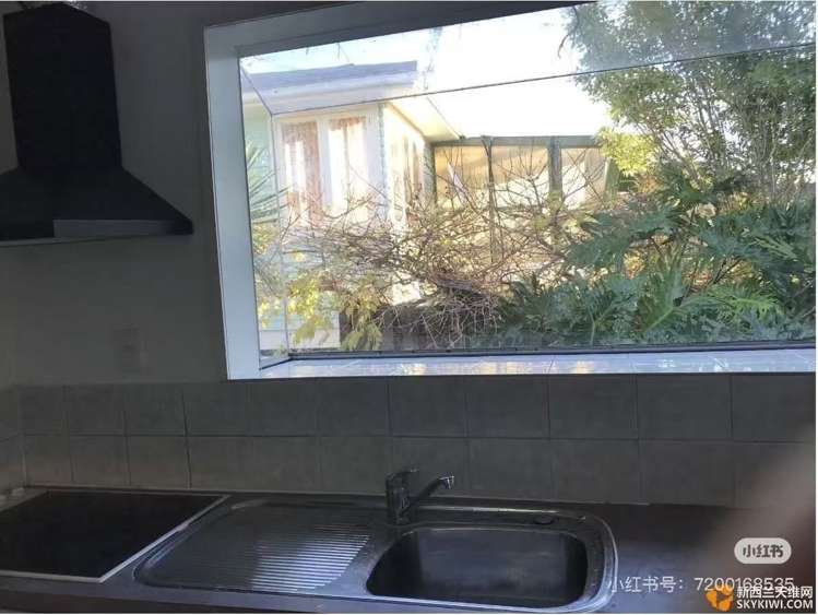 217 Sturges Road Henderson_5