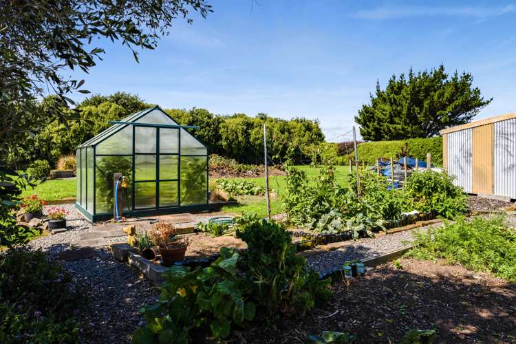 16 Weld Street Normanby_29