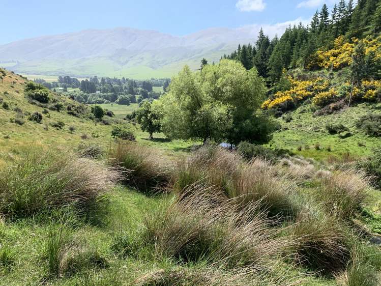 2059 Fairlie Tekapo Road Fairlie_3