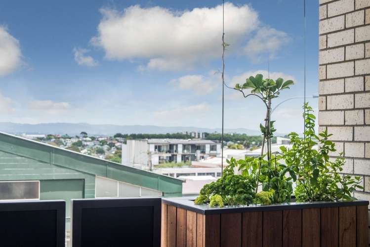 203/23a Pollen Street Grey Lynn_13