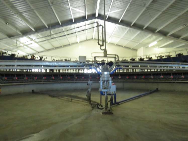 102 Anama Station Road Mayfield_25