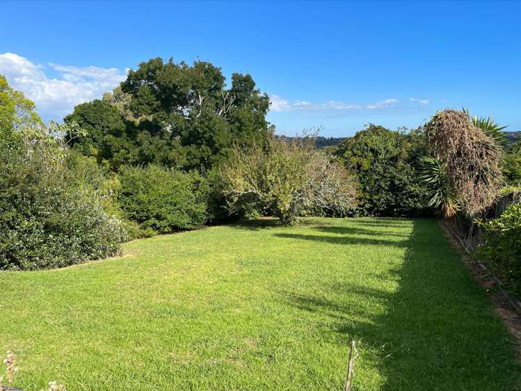 27 Tiverton Road Avondale_16