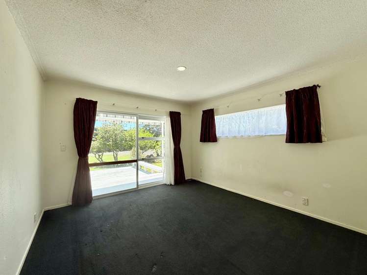 305 No 3 Road Te Puke_25