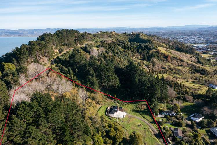 5 Titirangi Drive/89 Endcliffe Road Kaiti_21