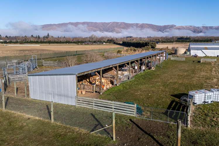 34 Clayton Road Fairlie_20