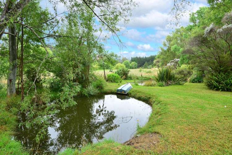 6 Phillips Road Warkworth_1