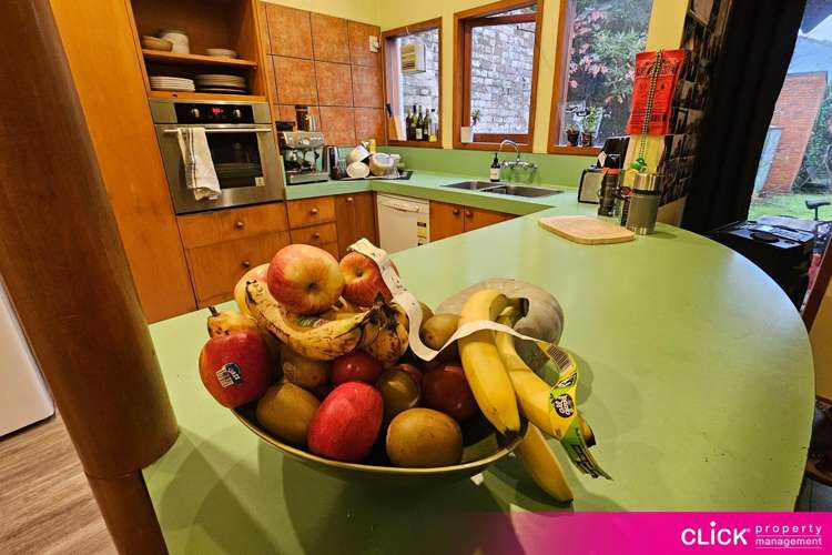 1074 George Street North Dunedin_17