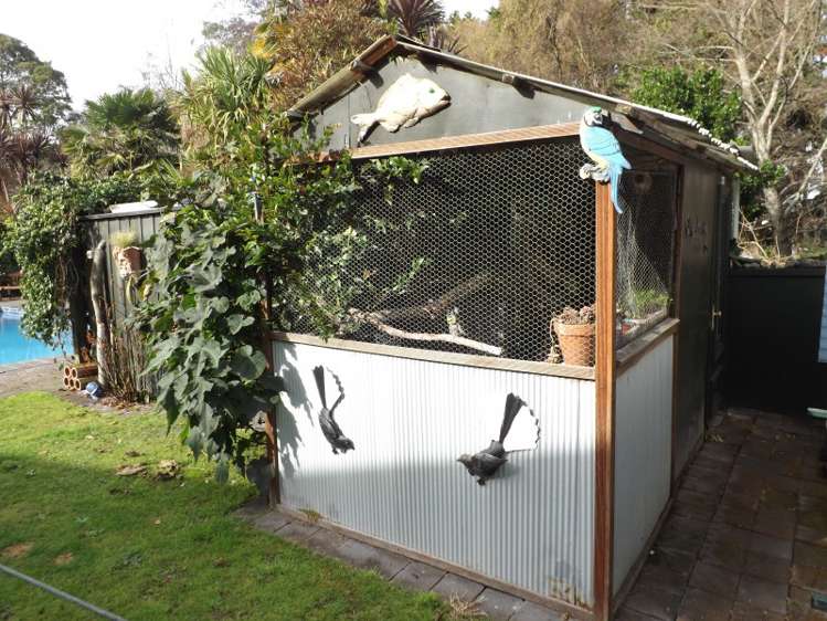 39 Page Street Morrinsville_11