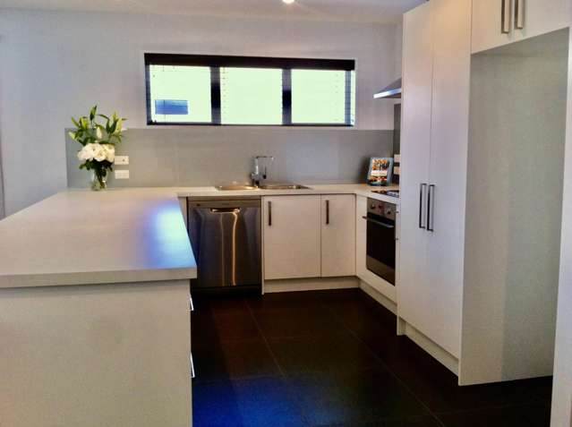 38 Kittyhawk Avenue Wigram_3