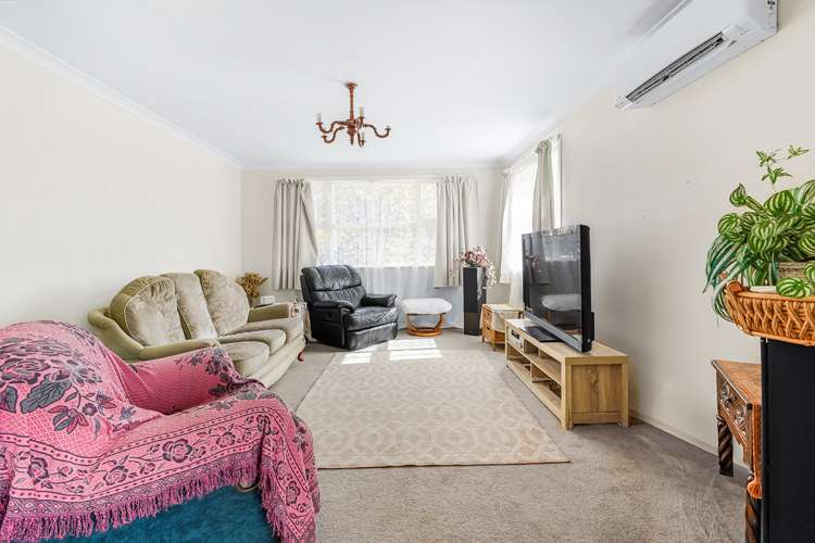 28 Young Street Claudelands_6