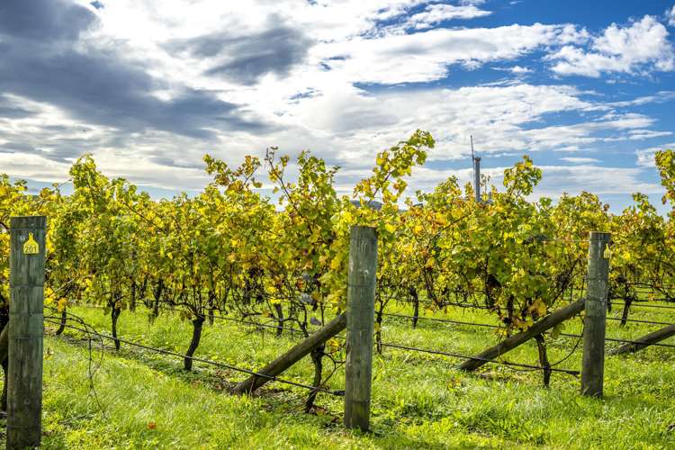 State Highway 50 Roys Hill_4