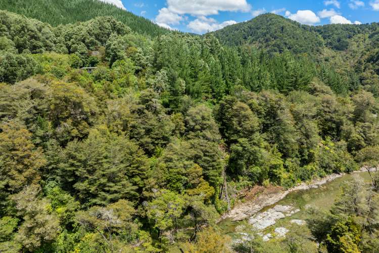 1160 Wakamarina Road Havelock_19