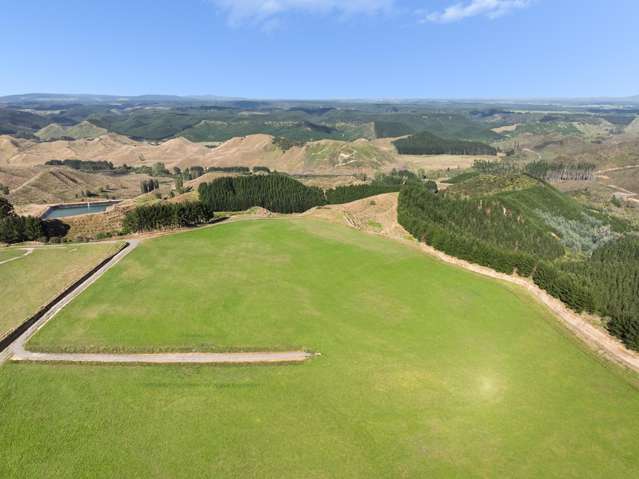 - Airstrip Road Pikowai_1