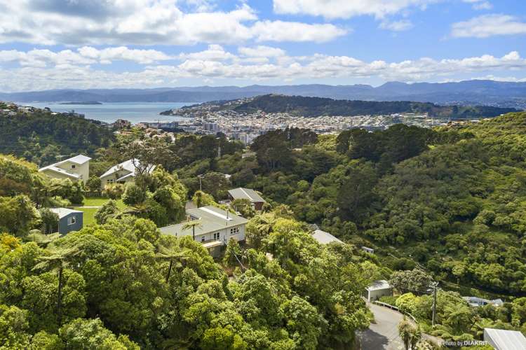 13 Broomhill Road Highbury_15