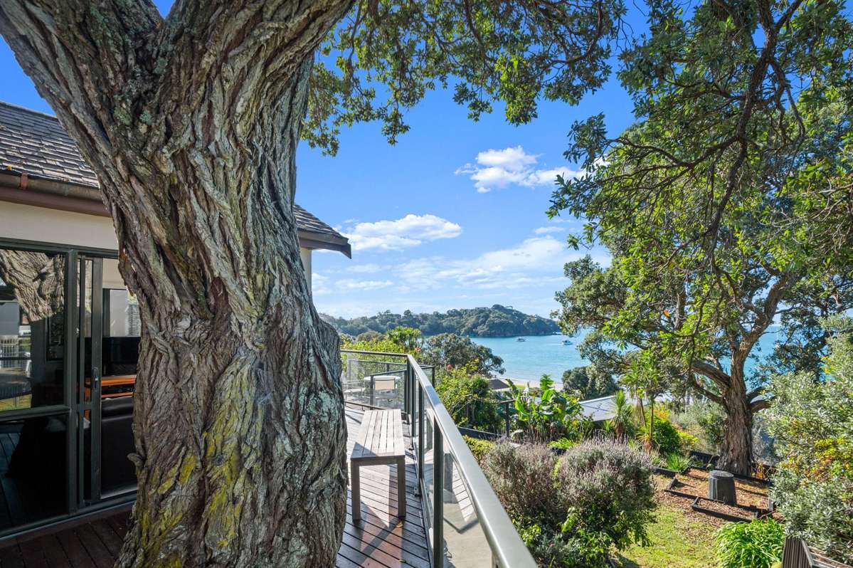 155 Ocean View Road | Oneroa | Waiheke Island | Houses for Sale - OneRoof