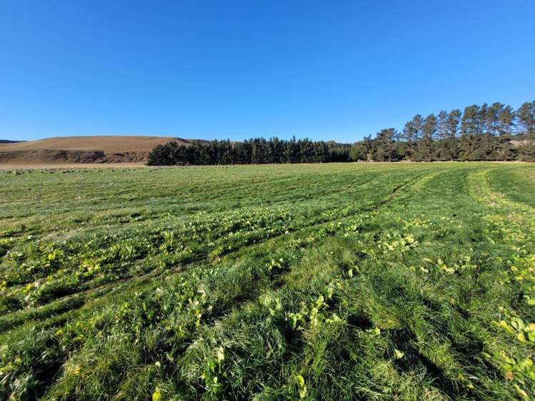 Livingstone Duntroon Road Livingstone_0