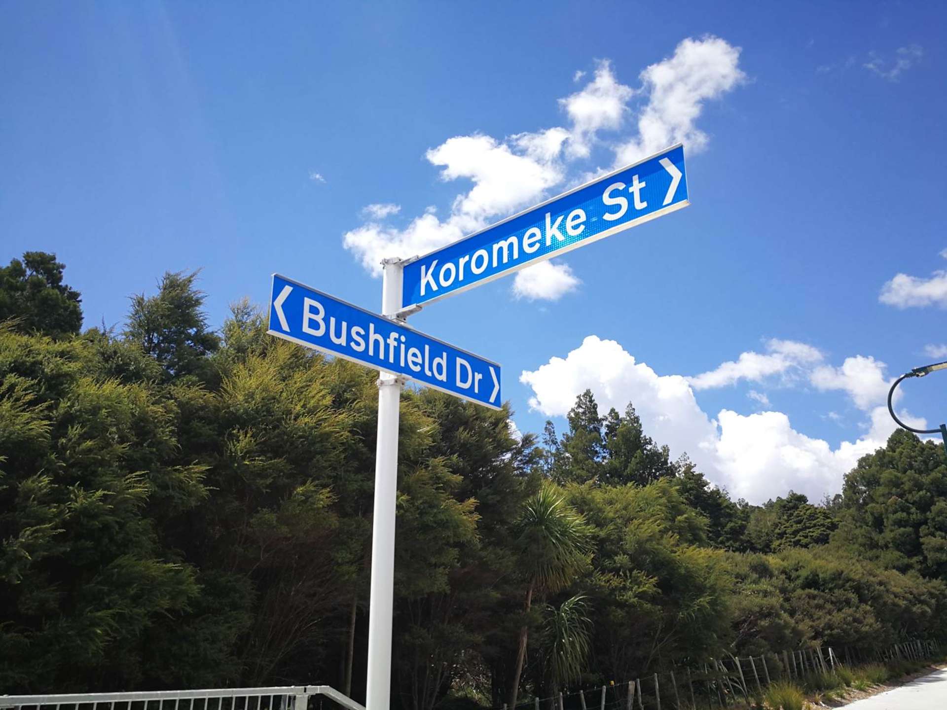 Lot 6 DG 1 Bushfield Drive Flat Bush_0