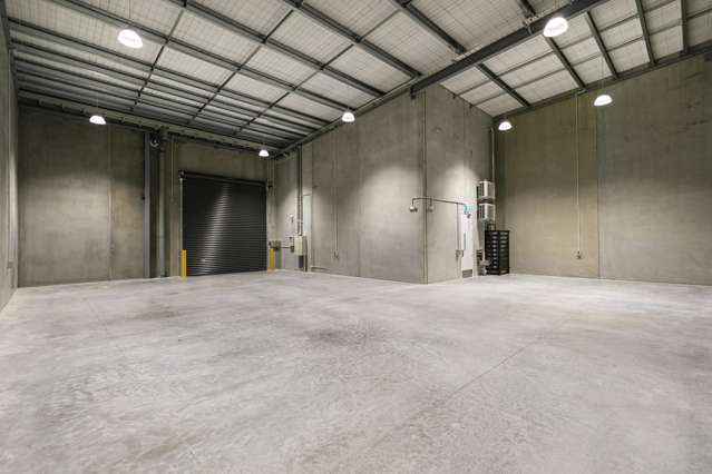 1-8/11 Triton Drive Albany_3