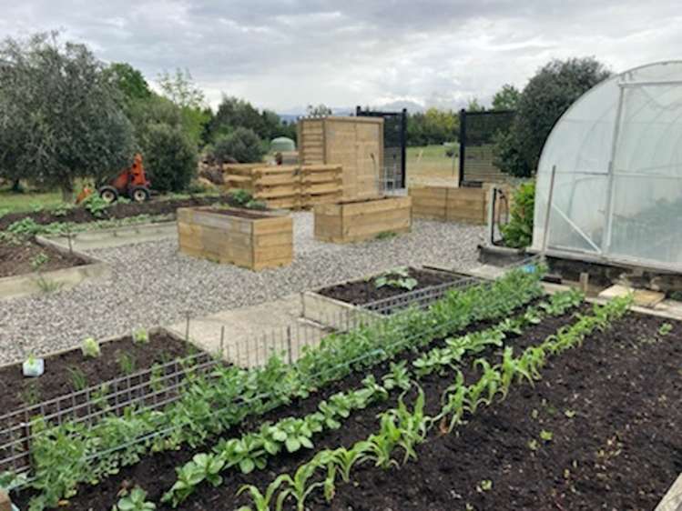 169 Airport Road Alexandra_23