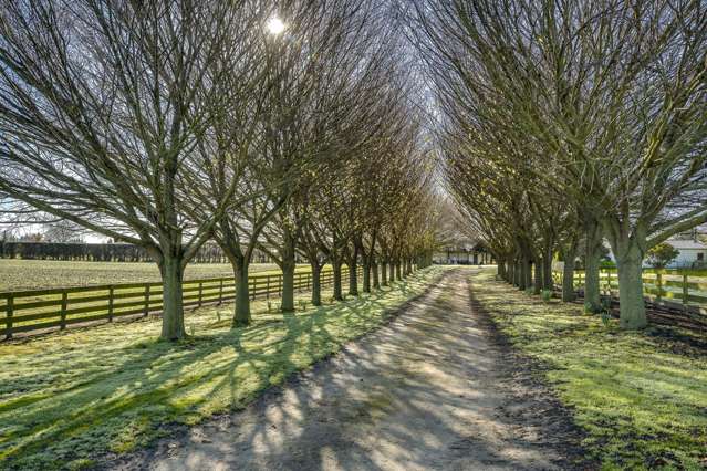 637 St Georges Road South Havelock North_3