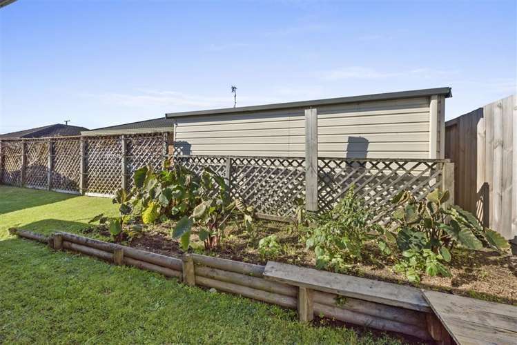 12b Maitland Street Greerton_9