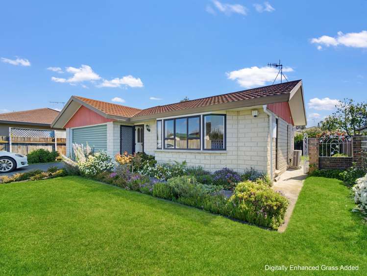 137 Avenue Road Greenmeadows_2