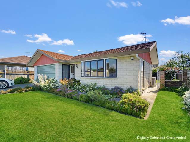 137 Avenue Road Greenmeadows_3
