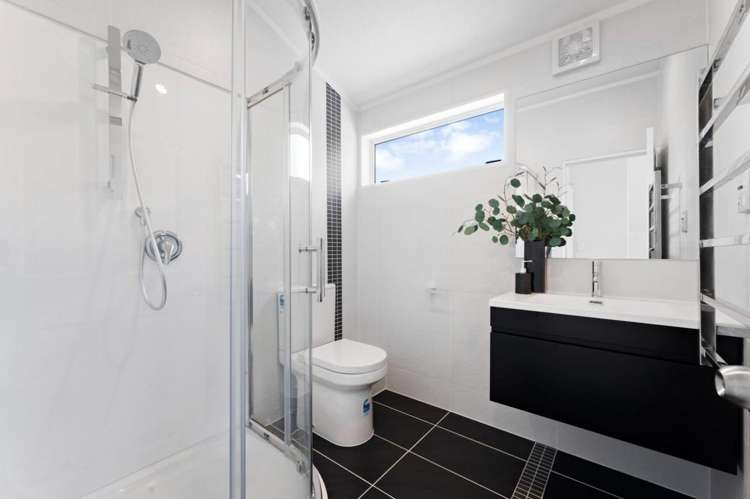 37 Green Road Dairy Flat_20