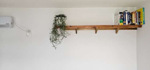 Address withheld Petone_3