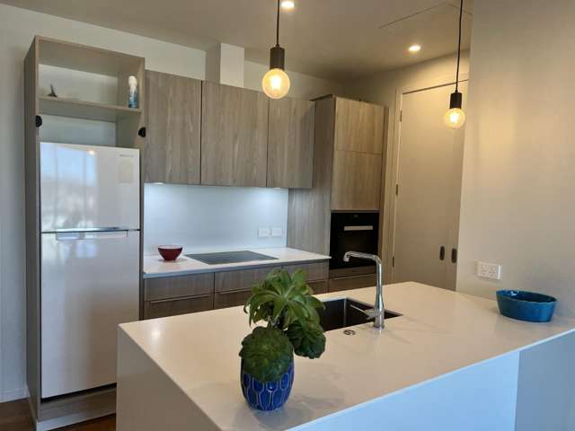 301/2 Turakina Street 10031_3