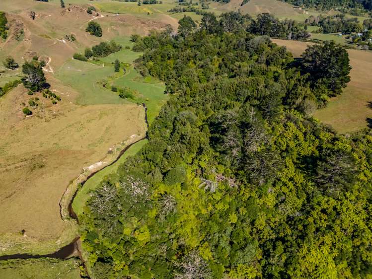 427 Mataro Road Onaero_35