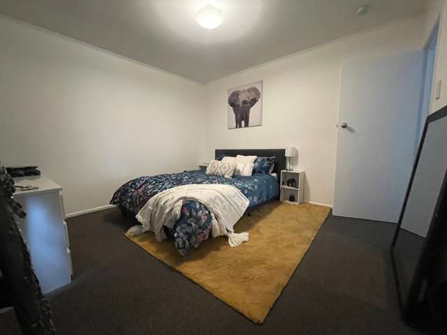 12 Alana Place Mount Wellington_4