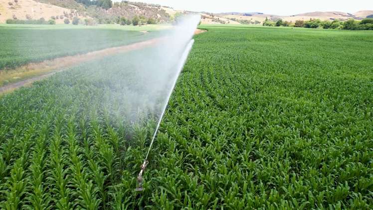 429 Riverside Road Martinborough_17