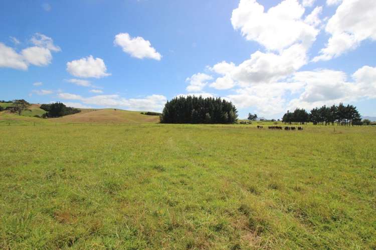 56 Sandford Road Ruakaka_5