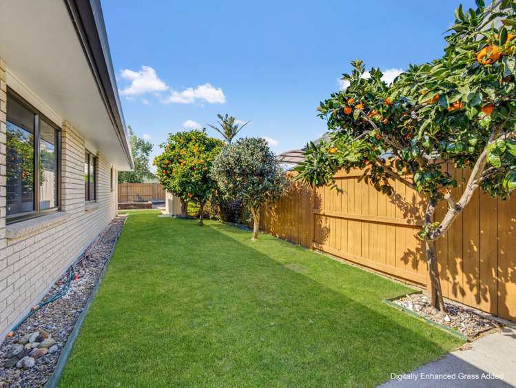 49 Palm Beach Boulevard Papamoa Beach_28