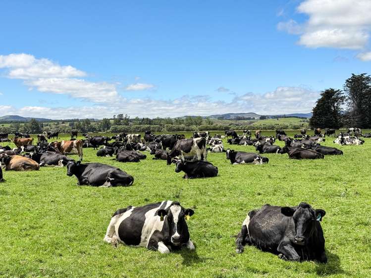 545 Coal Pit Wyndham_10