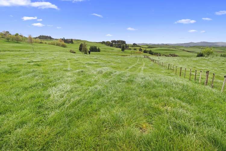 86 Mairoa Road Piopio_6