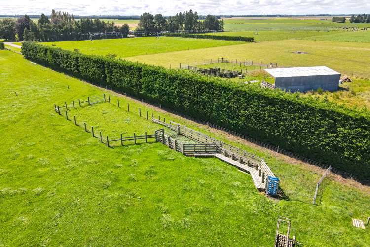 3239 Thompsons Track Ashburton Forks_9