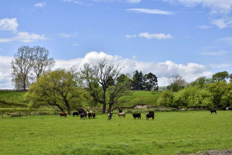 271 Awamate Road Wairoa Country_9