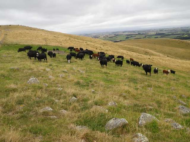 265 Glenfalloch Road Catlins Surrounds_1