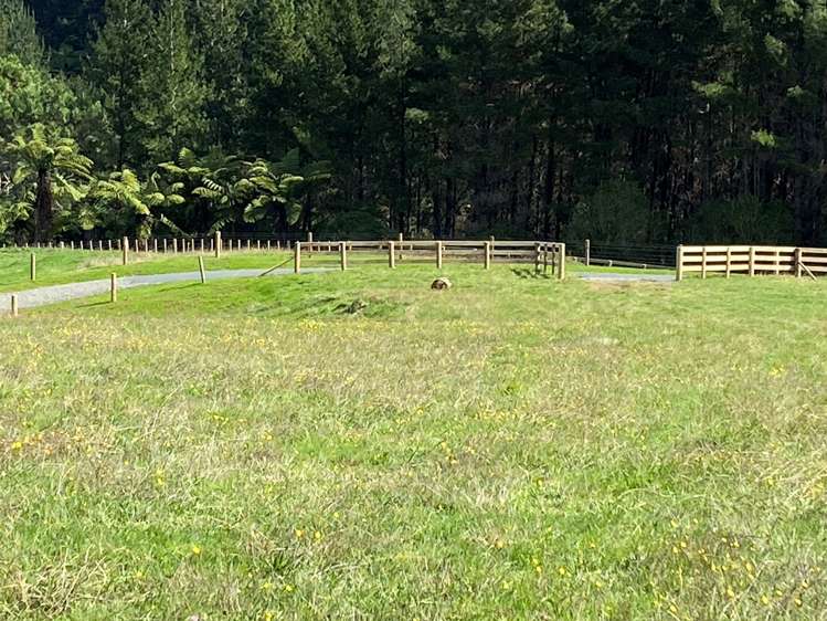 Waterworks Road Te Miro_8