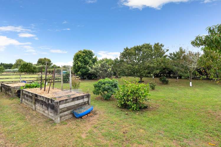 474 Bruntwood Road Tamahere_8