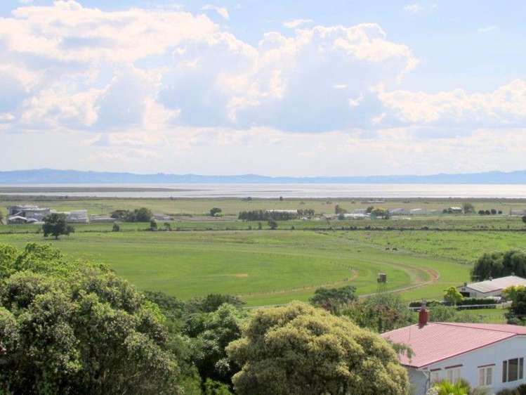 106 Whitehead Way Thames_1